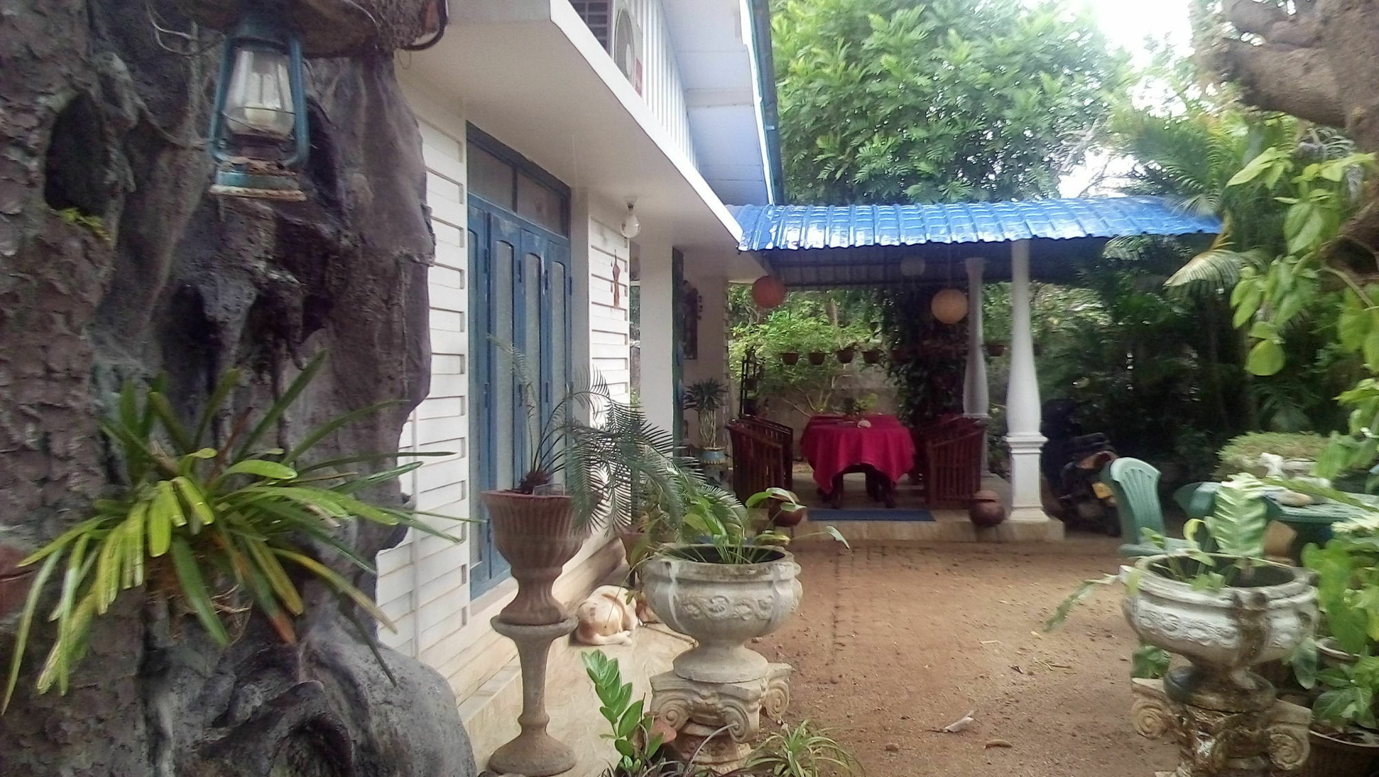 Rock Cascade Tourist Home & Cookery School Polonnaruwa Eksteriør bilde